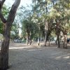 Spiazzo di campeggio ombreggiato da alberi.