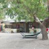 Amaca sotto un albero vicino a un edificio.