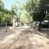 Strada sterrata in un campeggio con alberi su entrambi i lati.
