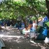 Campeggio all'ombra di alberi, tende e una persona vicino a un tavolino.